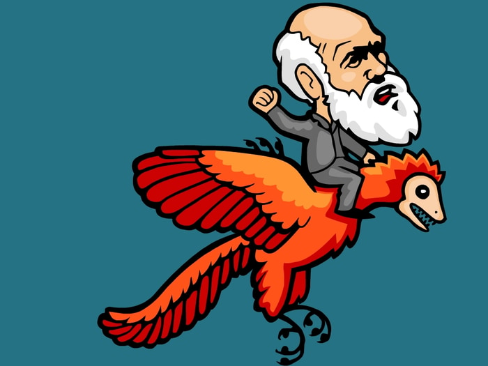 We teach the science of evolution through clear, friendly, entertaining animations.