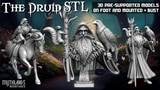 Click here to view The Druid STL