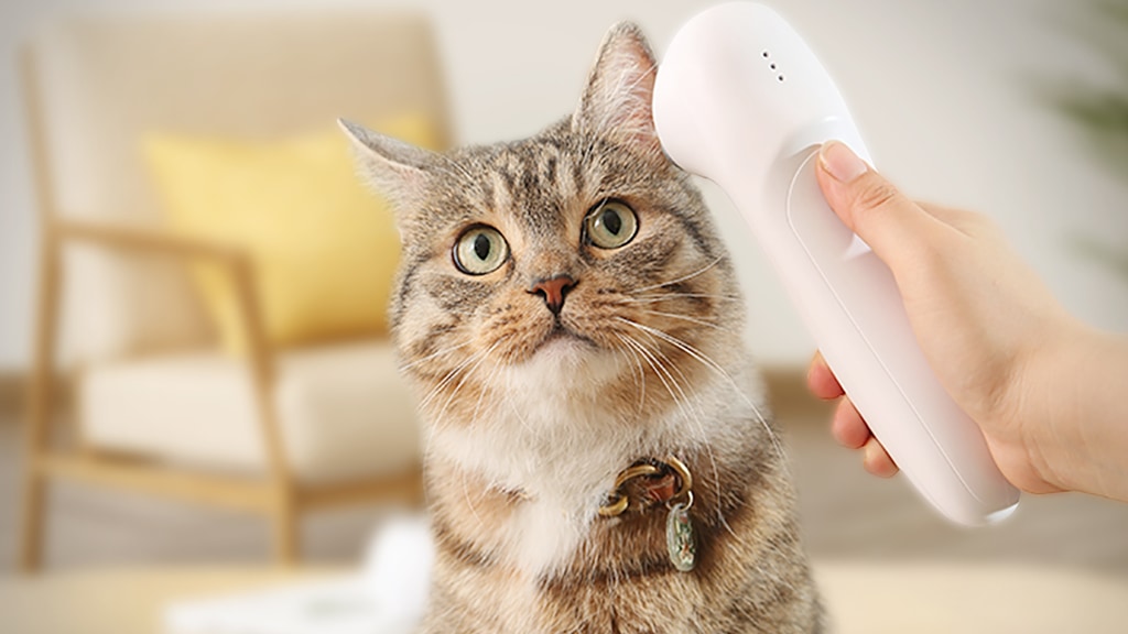 PurrOzone: Ultimate Portable Ear Care For Your Pets